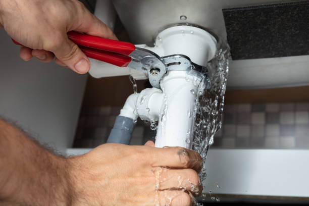 Best Water damage contractors near me  in Milford, DE