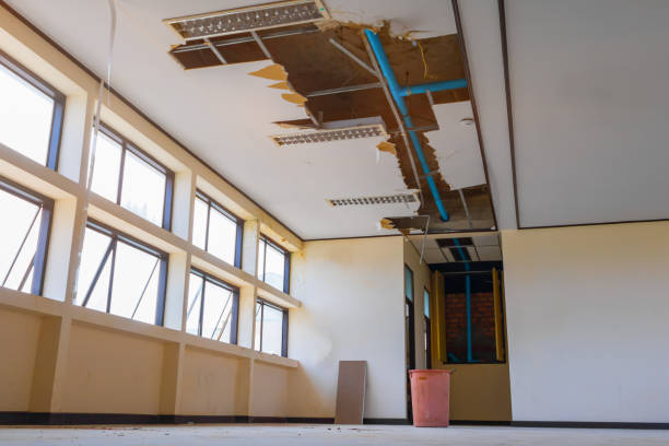 Best Commercial water damage restoration  in Milford, DE