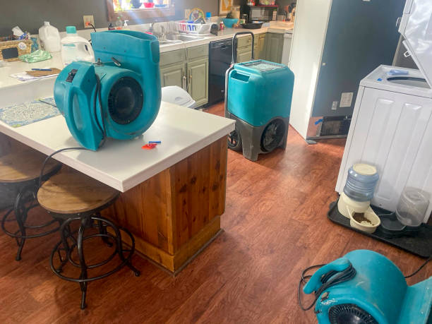 Best Flood damage cleanup  in Milford, DE