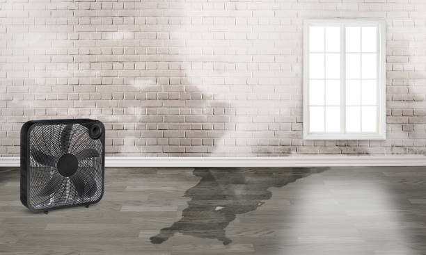 Best Residential water damage restoration  in Milford, DE