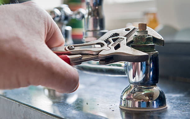 Best Water damage restoration mold remediation  in Milford, DE
