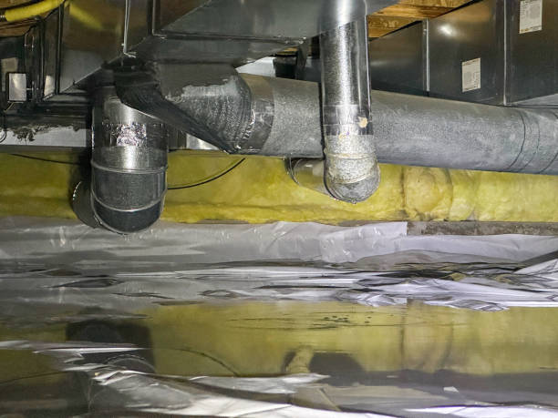 Best Sewage cleanup and water damage restoration  in Milford, DE