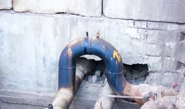 Best Water damage restoration near me  in Milford, DE